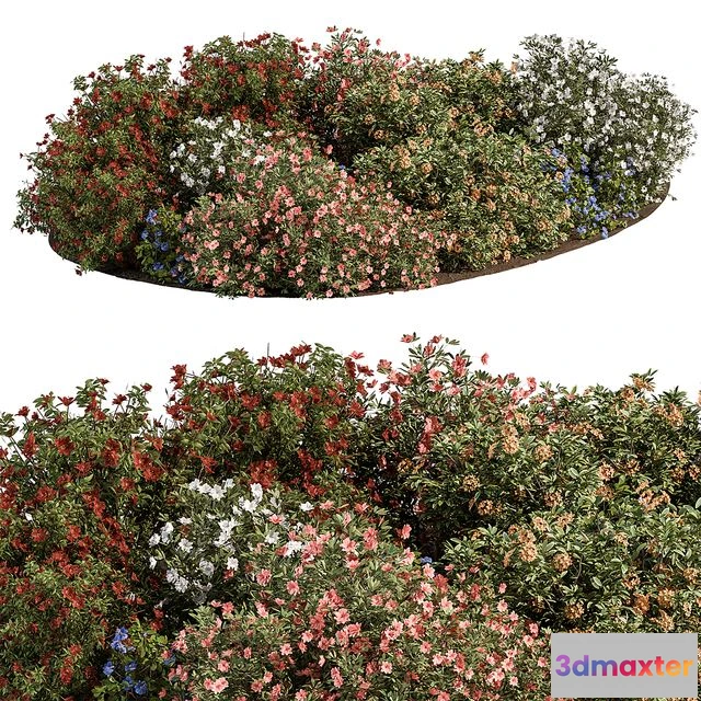 1549481 - Garden colorful Flower Bush - Set 452 3D Max