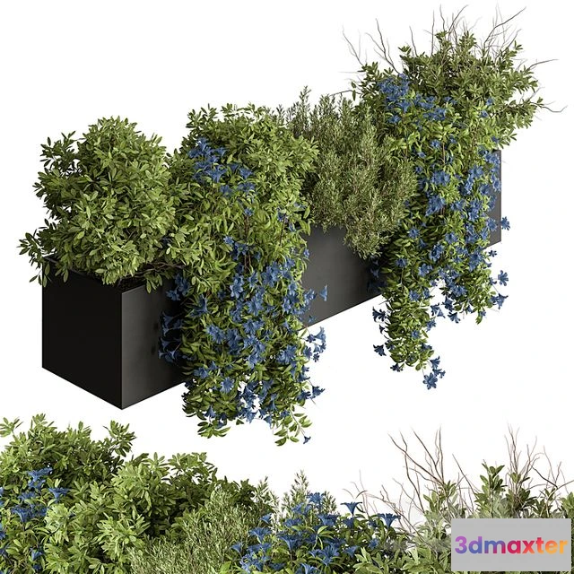 1551519 - Hanging Plant - Outdoor Plants 503 3D Max