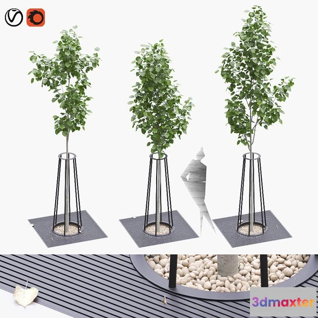 1551857 - Linden seedlings in a tree-trunk lattice 3D Max