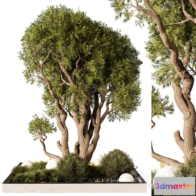 1552119 - Outdoor Plant 247 3D Max