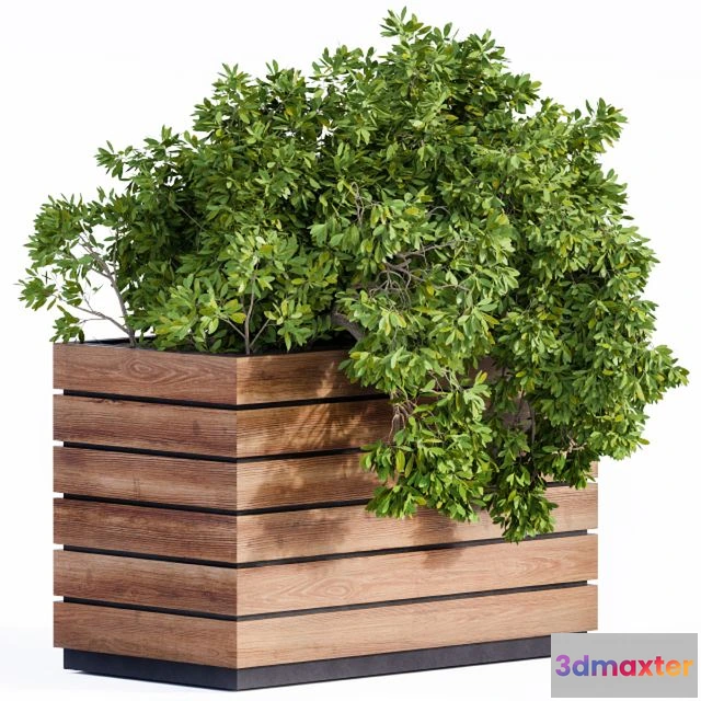 1552215 - Plant Box Green & Wood 3D Max