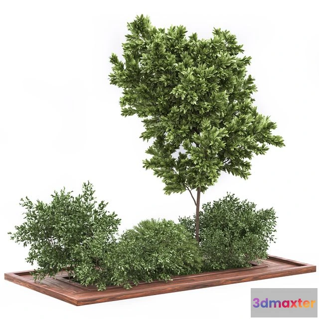 1553299 - Garden set bush and Tree_Set01 3D Max