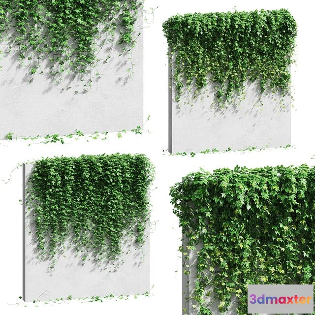 1554701 - Wall with grape leaves 3D Max