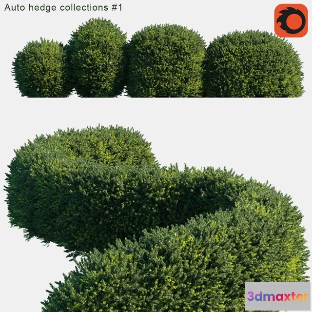 1555039 - Auto hedge collections # 1 3D Max