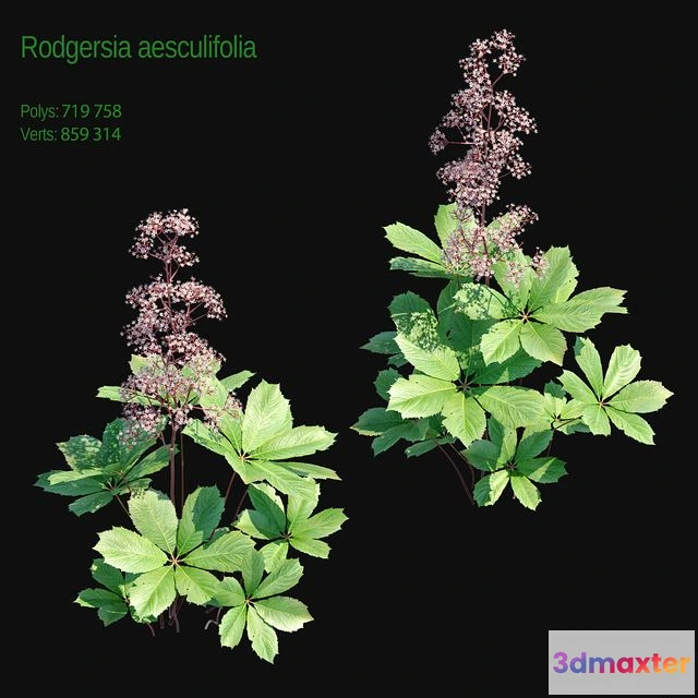 1555643 - Rogers horse chestnut 2 3D Max