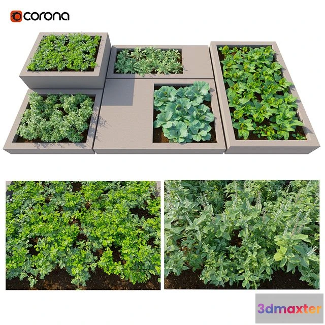 1555659 - Rooftop Kitchen Garden 3D Max