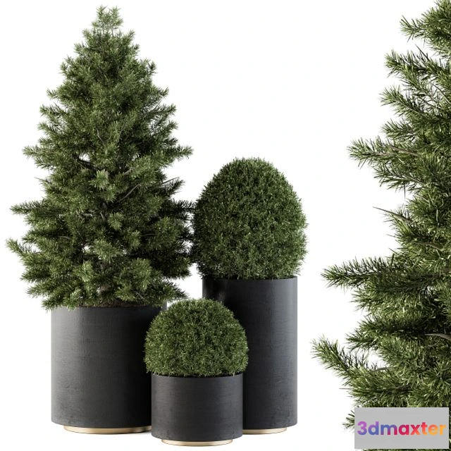 1556473 - Outdoor Plants tree in Concrete Pot - Set 110 3D Max