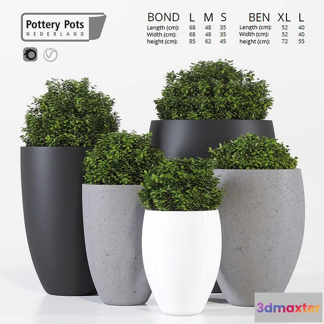 1556515 - Potterypots five 3D Max
