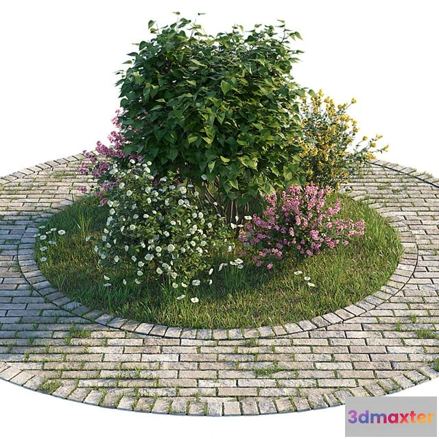 1557163 - Flowerbed with bushes and grass 3D Max