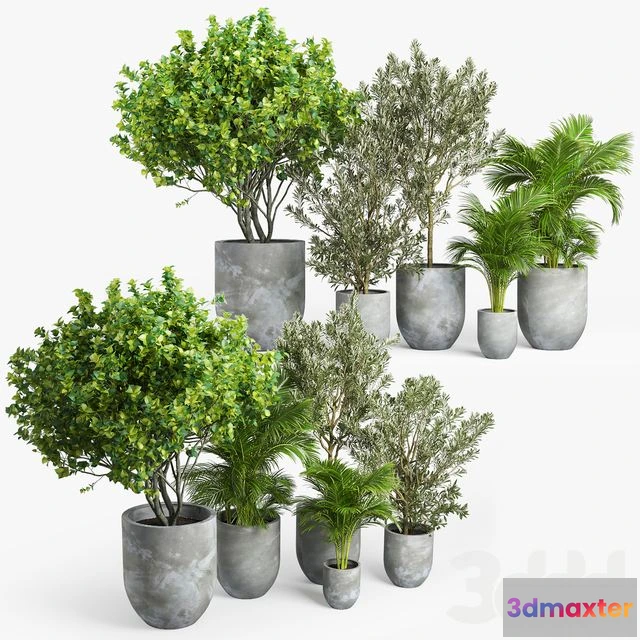 1558141 - Concrete set plants 3D Max
