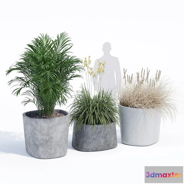 1558841 - Kingkong plants outdoor 3D Max
