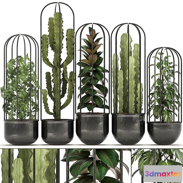 1559249 - Collection of plants 327 3D Max