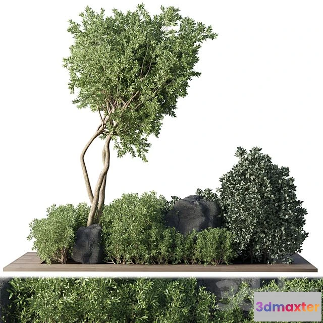 1559259 - Collection Outdoor Indoor plant 67 3D Max