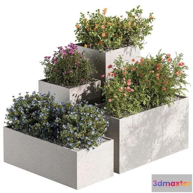 1559713 - Plant Box Outdoor Plants Flowers 534 3D Max