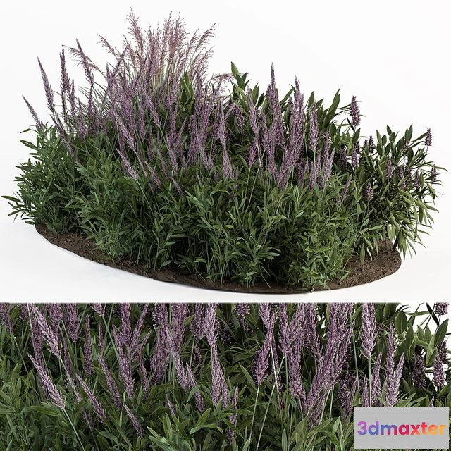 1562057 - Garden set lavender Bush Plants 3D Max