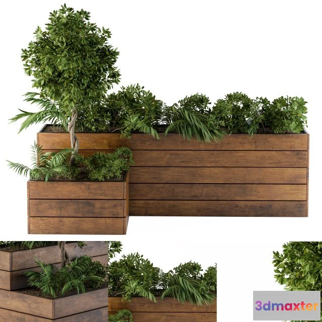 1562407 - outdoor-plants Flower Box 3D Max