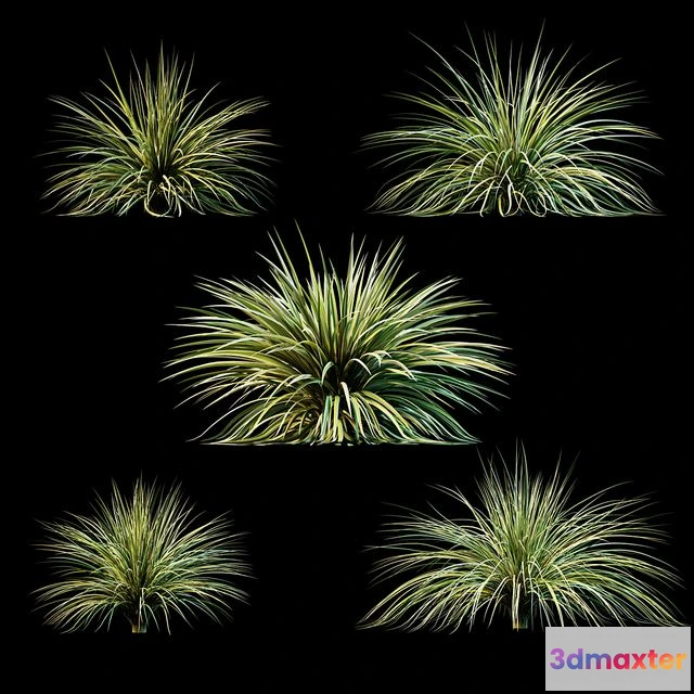 1562451 - Plants for exterior v3 3D Max