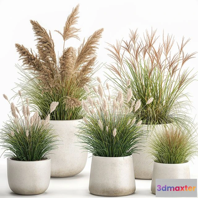 1563165 - Collection of plants for landscape Set 1094 3D Max