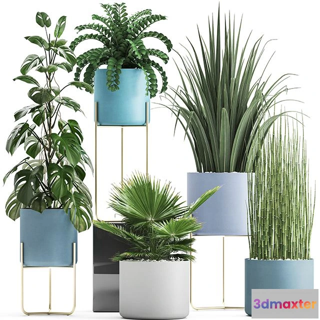 1564740 - Plant collection 281 3D Max