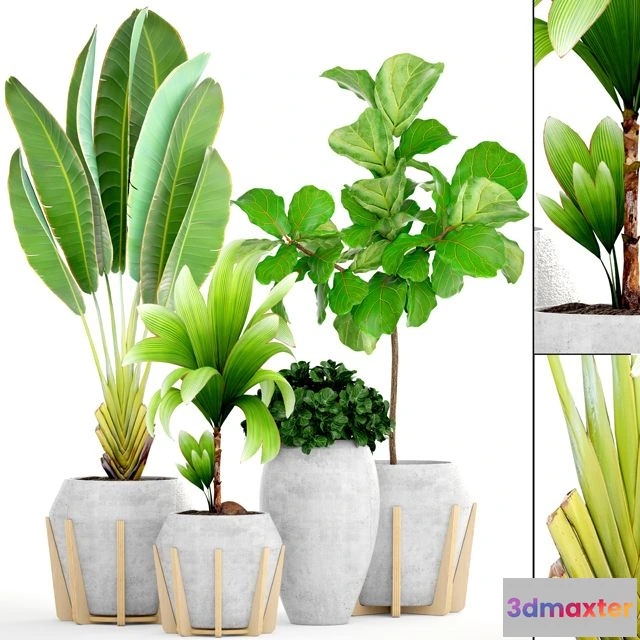 1565148 - Collection of plants 147 3D Max