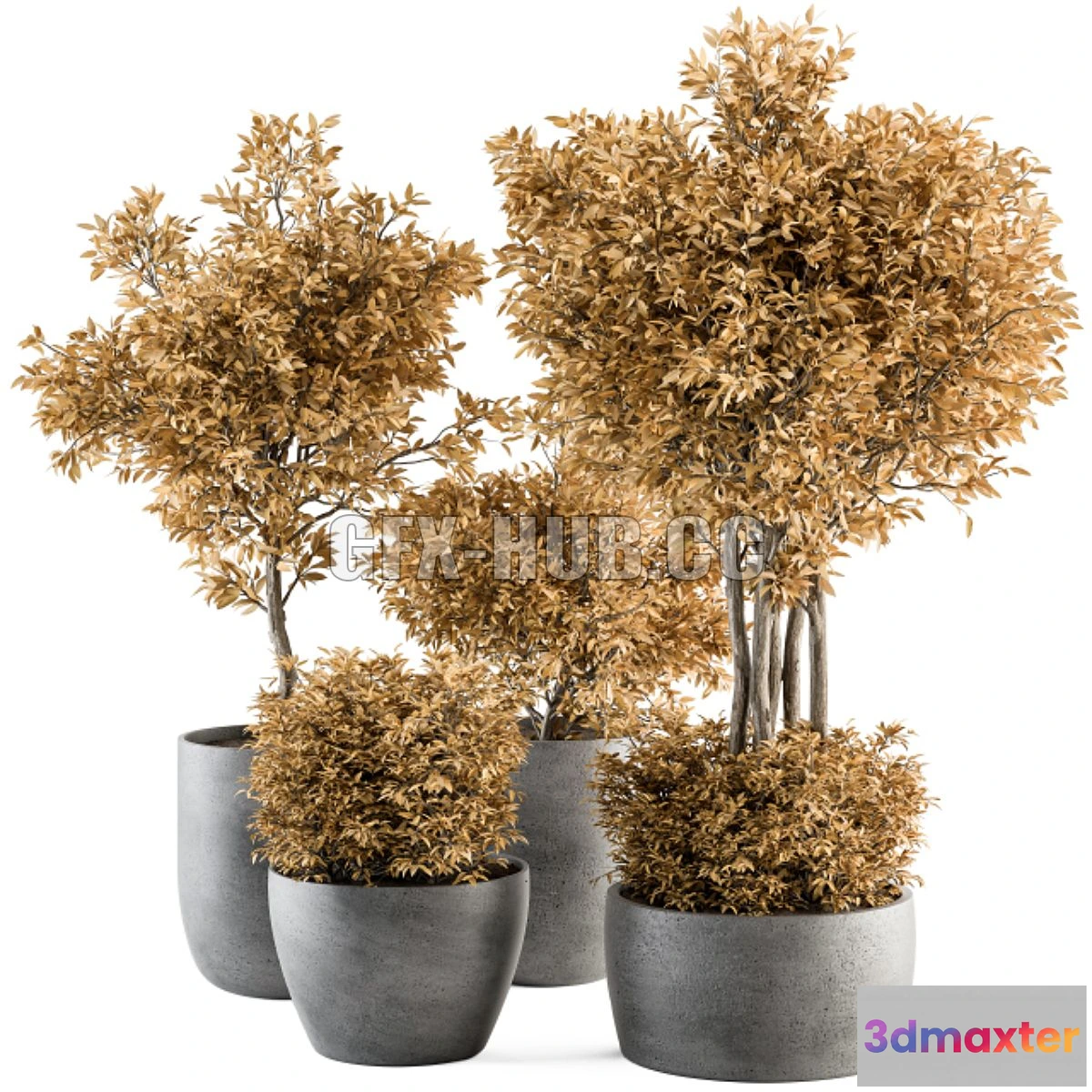 1565826 - Outdoor Plant Set 322 3D Max