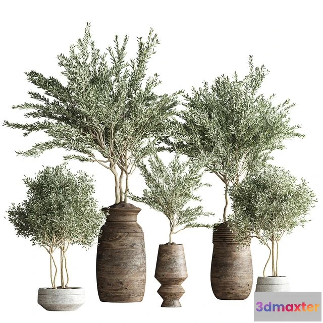 1566518 - indoor plant set 23 3D Max
