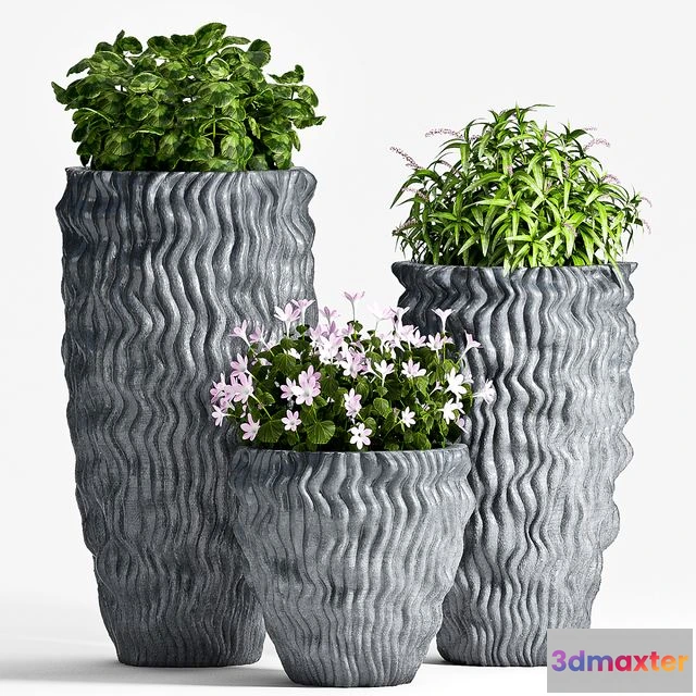 1569452 - PLANT SET -64 3D Max