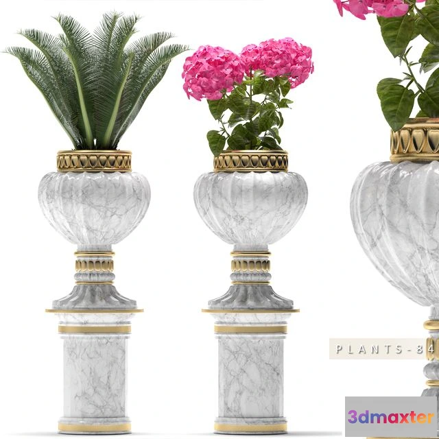 1569454 - PLANTS 84 3D Max