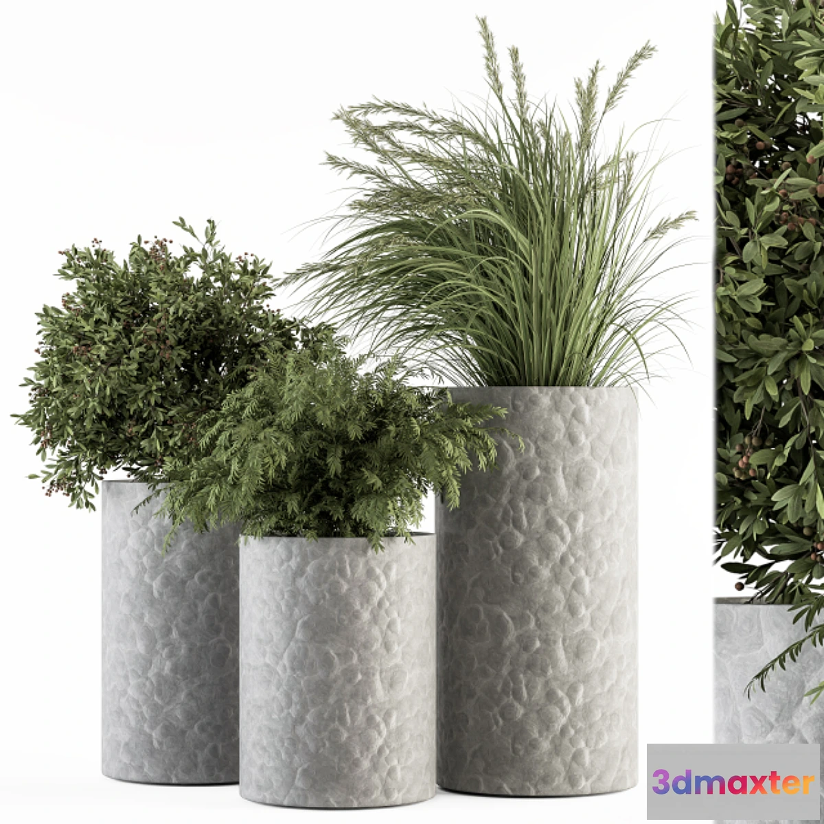 542685 - Outdoor Plant Set 292 - Plant Set in Concrete Pot