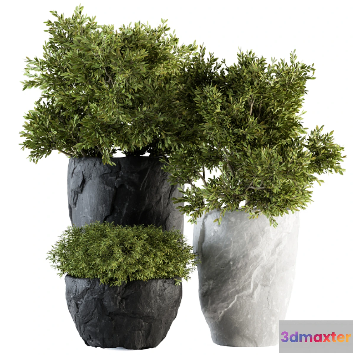 543145 - Outdoor Plants tree in Rock Pot - Set 136