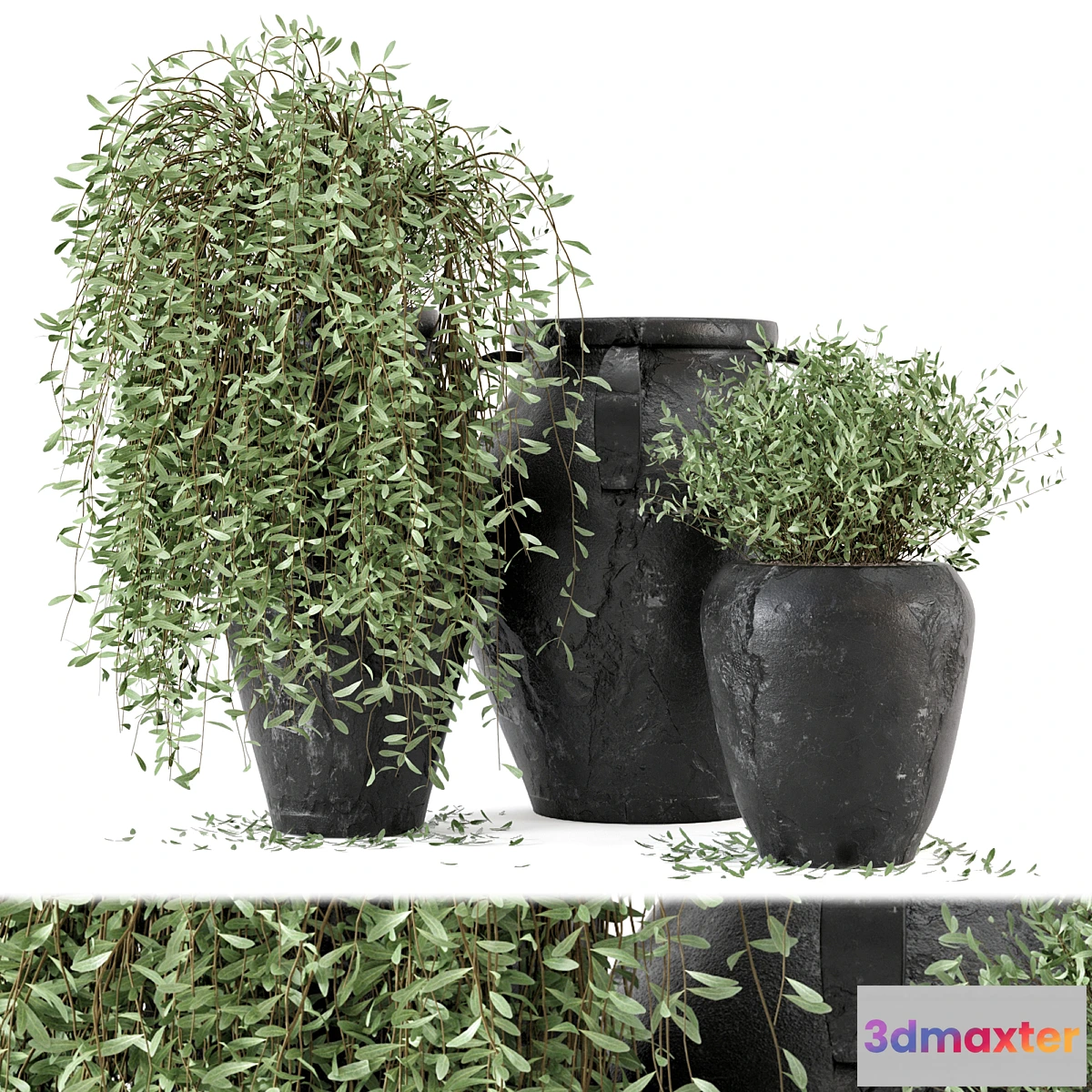 573318 - Outdoor Plants tree in rusty Concrete Pot - Set 2