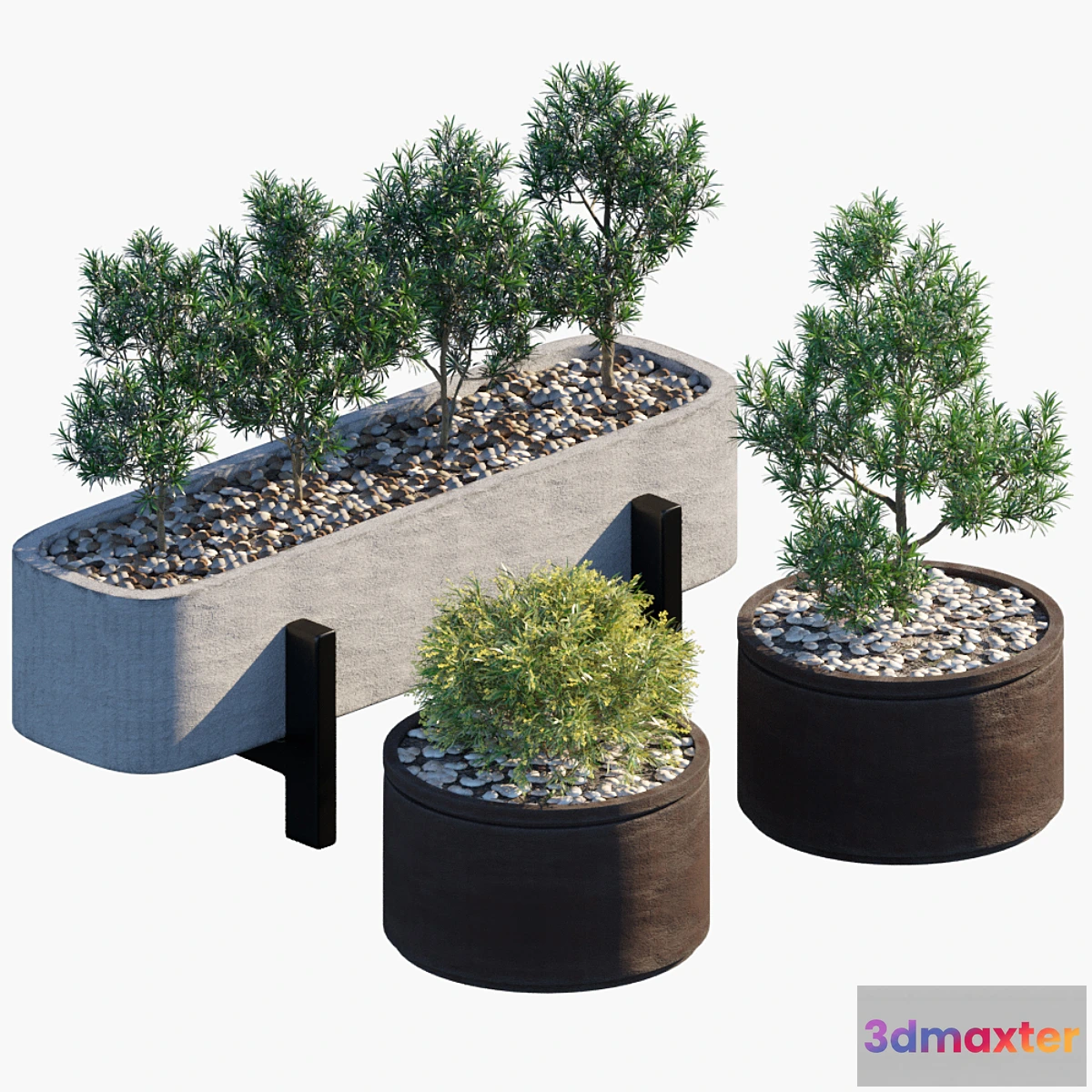 573334 - Plant in pots # 34