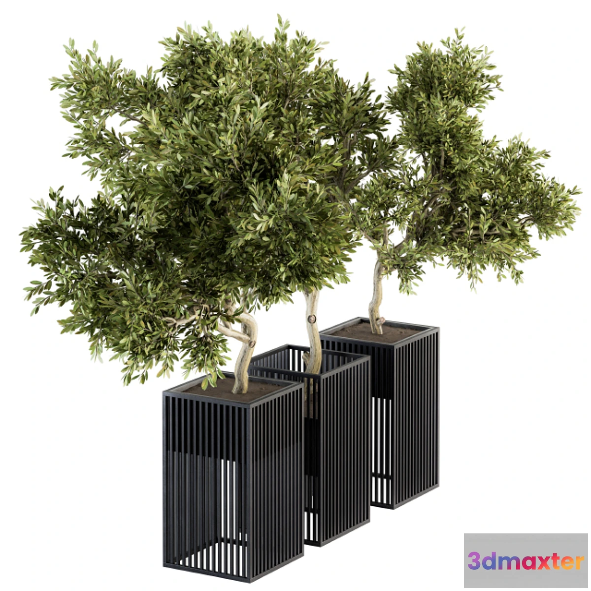 573344 - Outdoor Plants tree in Metal Pot - Set 134