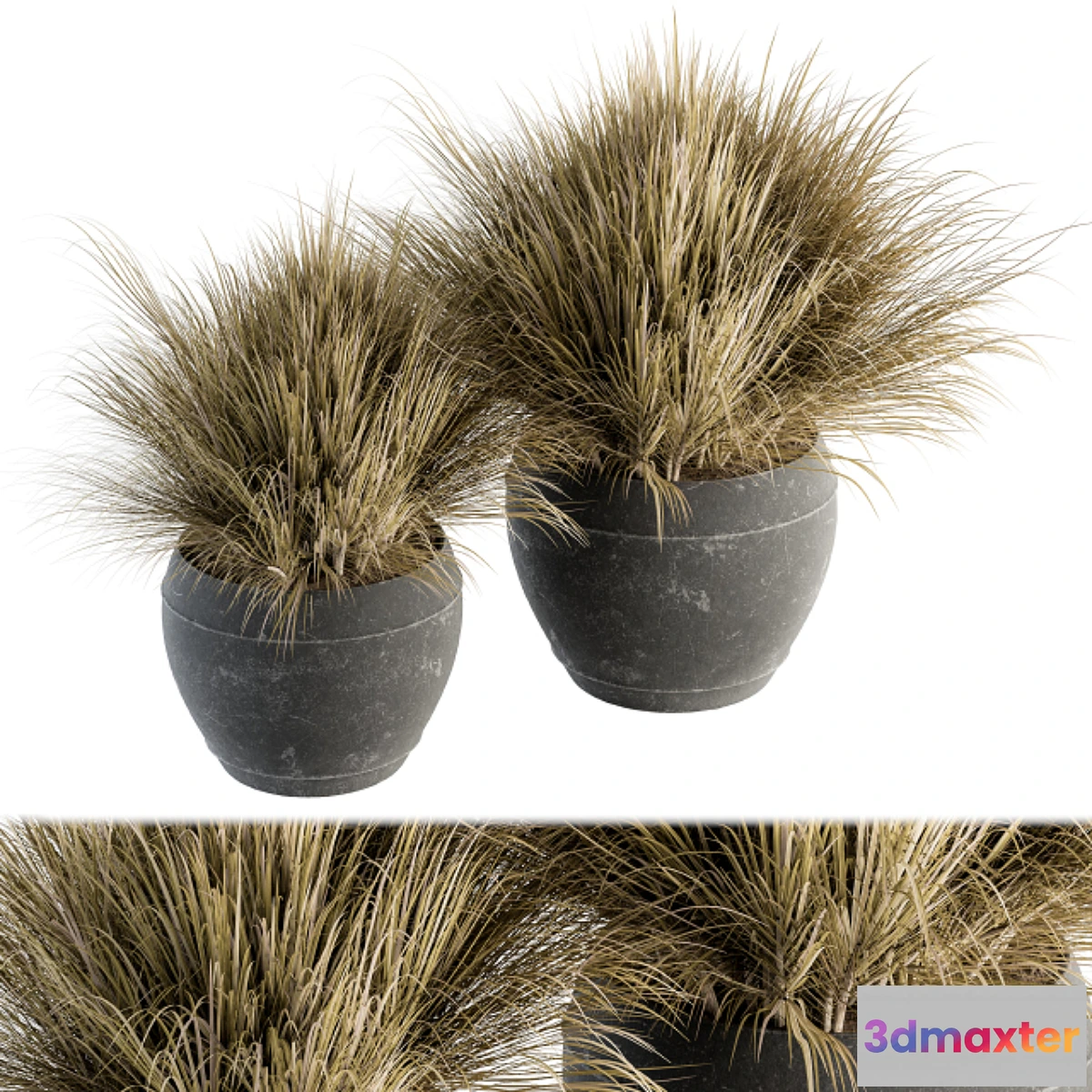573348 - Outdoor Plant Set 204 - Dried Grass in Pot
