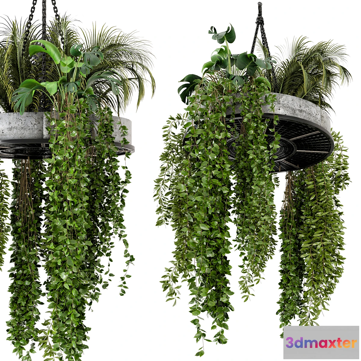 573364 - Indoor Hanging Plants in Metal Box - Set 86