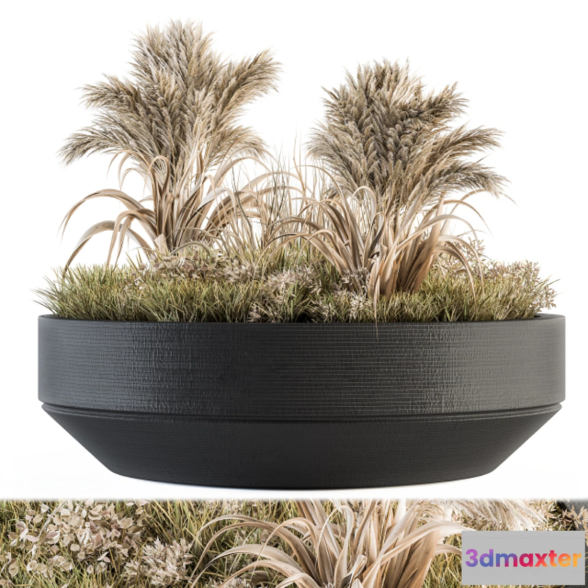 573368 - Outdoor Plants tree in Concrete Pot - Set 147
