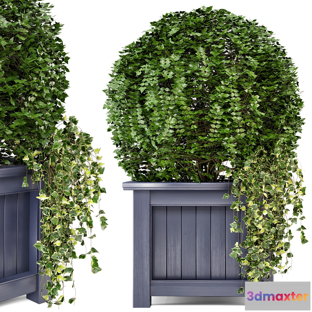 573370 - Outdoor Plants in Wooden Pot - Set 34