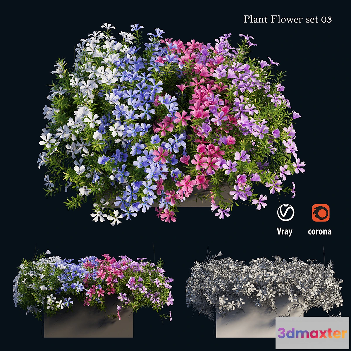 573388 - Plant Flower set 03