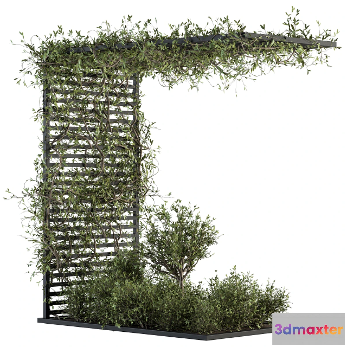 573422 - Garden set ivy and Bush - Garden Set 13