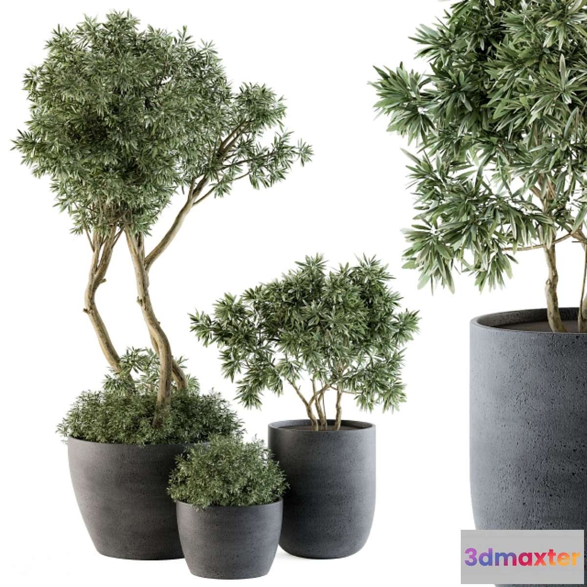 573494 - Outdoor Plants Tree in pot - Set 90