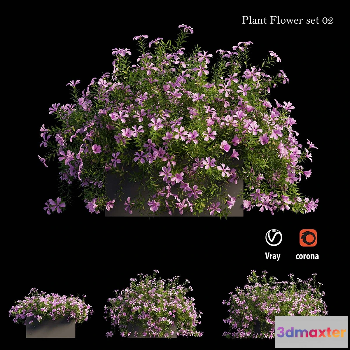 573526 - Plant Flower set 02