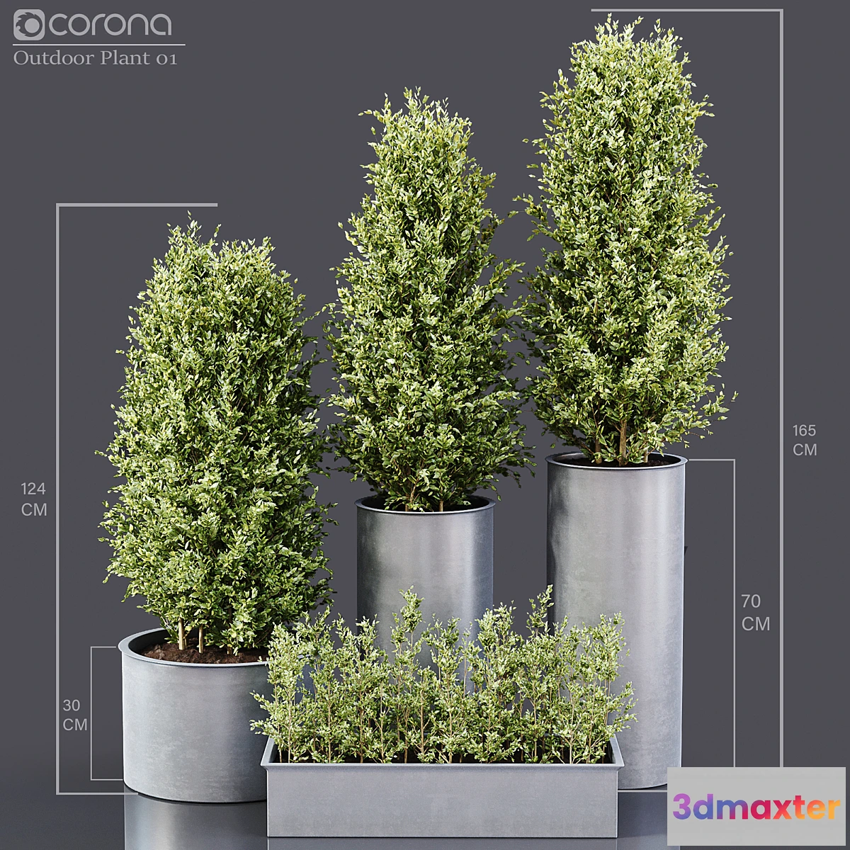 573528 - Outdoor Plants 01