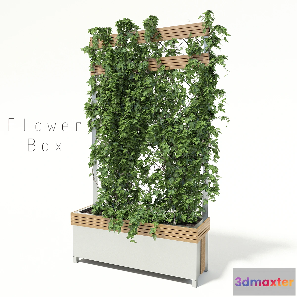 582064 - flower box