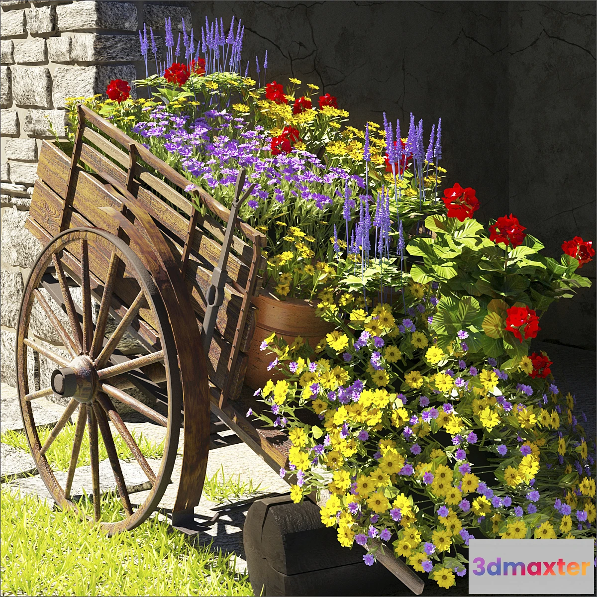 582224 - summer flower