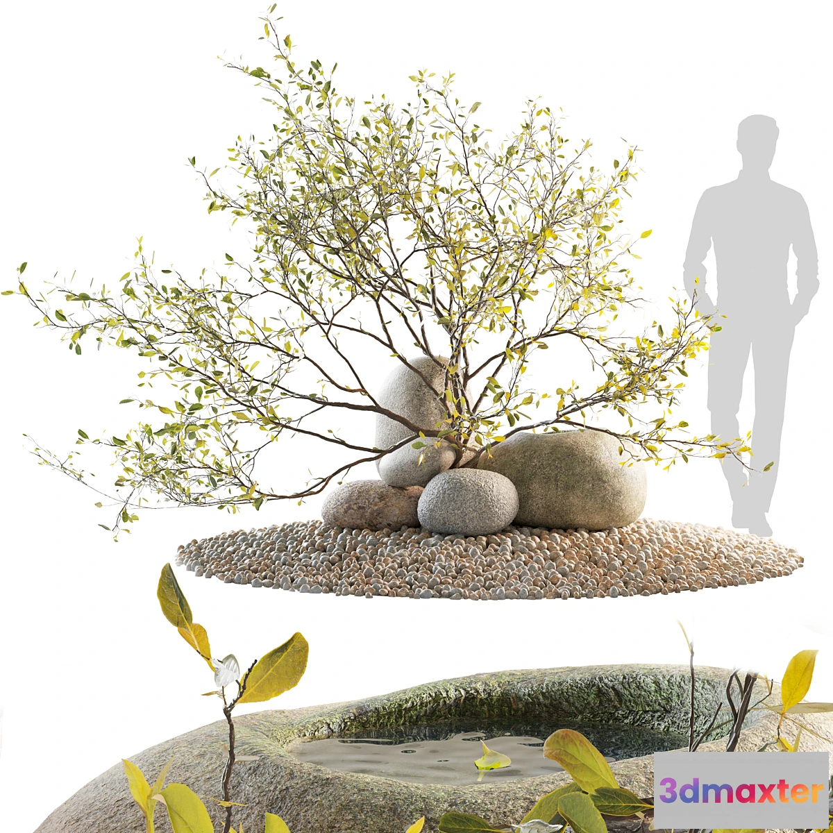 591900 - Alpine slide in Japanese style rock garden