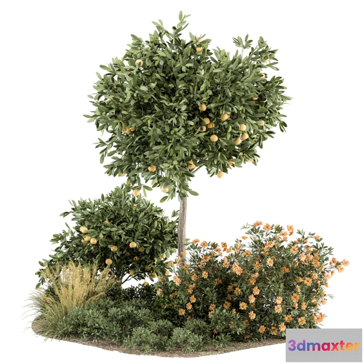 618069 - Garden set Lemon tree and Bush - Garden Set 26