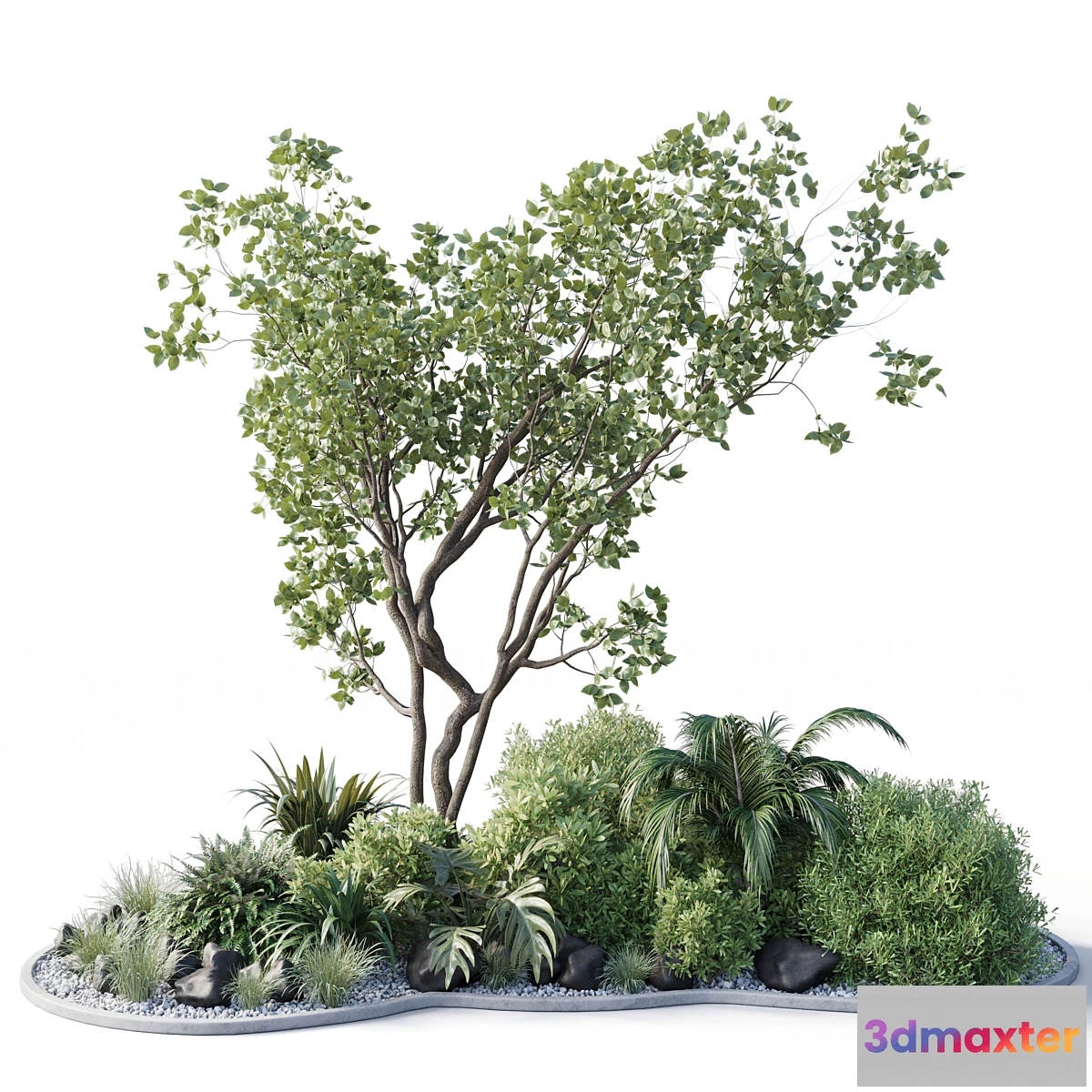 618133 - garden pot tree bush - Collection outdoor indoor 113
