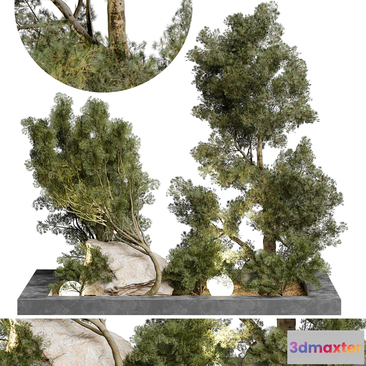 618159 - Outdoor Plant 65