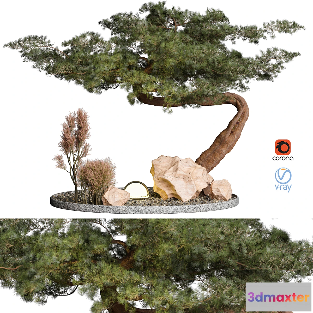 618165 - Outdoor Plant 69