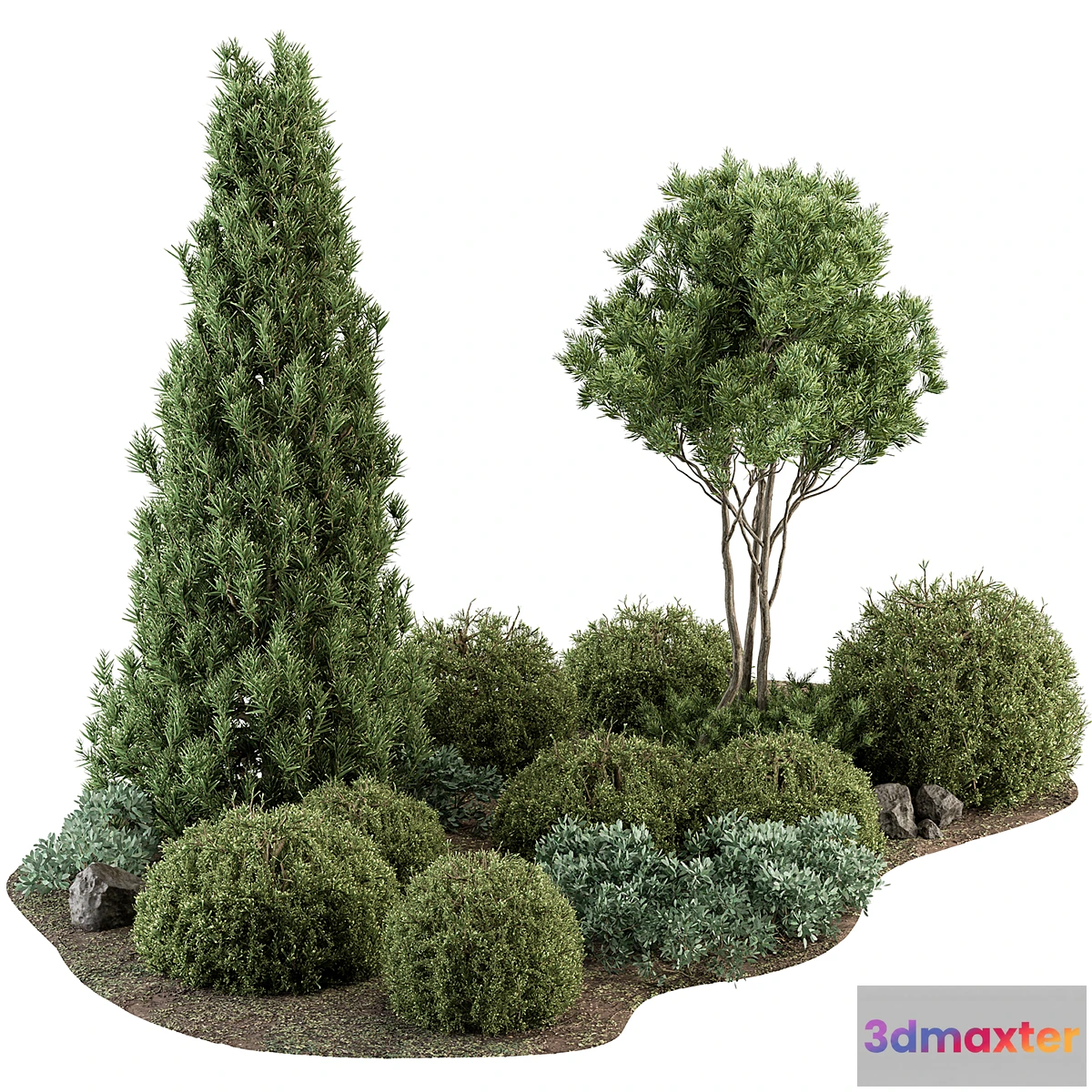 618205 - Garden Set Topiary and pine Plants - Outdoor Plants Set 410